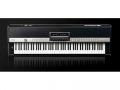 Yamaha CP 5