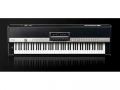 Yamaha CP 5