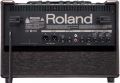 ROLAND AC 60 RW kombo pro akustické nástroje