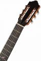STRUNAL  Clara 977  - 4/4 klasická kytara