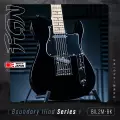 FGN BIL2-M BK Black elektrická kytara