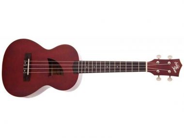 EDDY FINN EF-1-T ukulele