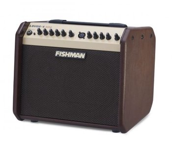 Fishman Loudbox Mini kombo pro akustické nástroje