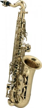 Roy Benson AS-201 Saxofon alt