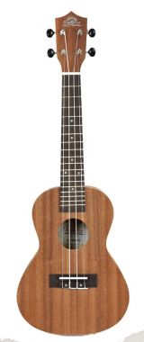 BaCH tenor ukulele