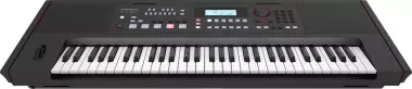 ROLAND E-X50