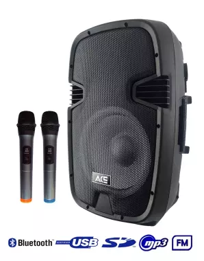 Aktivní reprobox ACE PAQ 12AB RH Sound + 2 x bezdrát. mikrofon