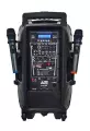 Aktivní reprobox ACE PAQ 12AB RH Sound + 2 x bezdrát. mikrofon