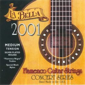 2001 Flamenco M