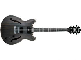 Ibanez AS 53