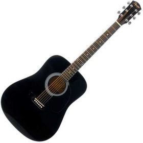 Fender Fender SA-105 Black
