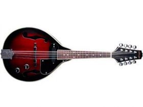 Stagg M50 E, mandolína se snímačem
