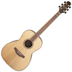 Takamine TAKAMINE GY93-NAT akustická kytara