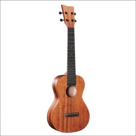 Ashton UKE 200 MH ukulele