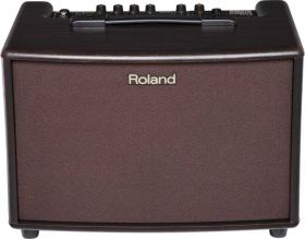 ROLAND AC 60 RW kombo pro akustické nástroje