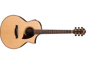 Ibanez AEW 22CD