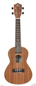 Bach BaCH tenor ukulele