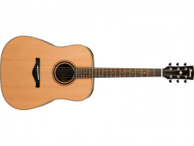 Ibanez AW 250      (S) akustická kytara