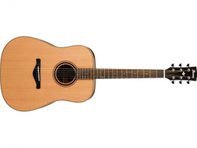 Ibanez AW 250      (S) akustická kytara