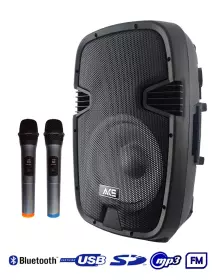 Aktivní reprobox ACE PAQ 12AB RH Sound + 2 x bezdrát. mikrofon